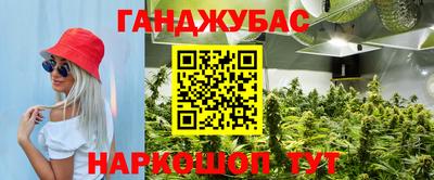 прущие крисы Аргун