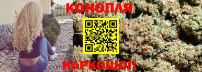 прущие крисы Аргун