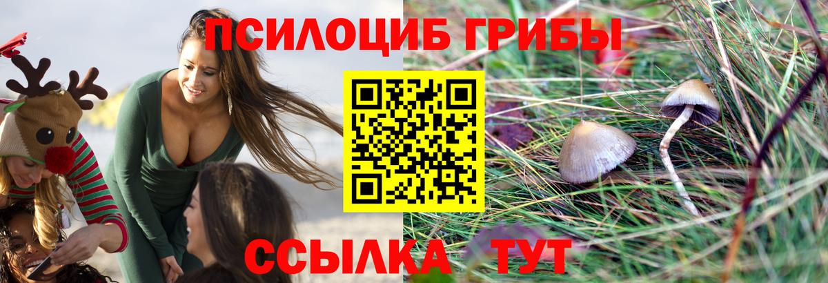 Балахна  Галлюциногенные грибы прущие грибы  Вход с VPN  Псилоцибиновые грибы Psilocybine cubensis 